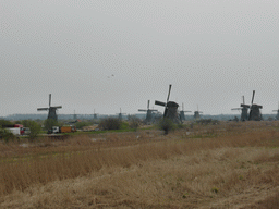 The Nederwaard and Overwaard windmills, viewed from the Molenstraat street