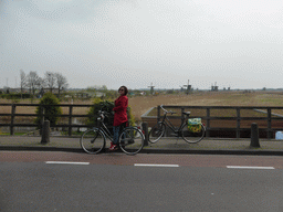 Miaomiao on her rental bike at the Molenstraat street, with a view on the Nederwaard and Overwaard windmills
