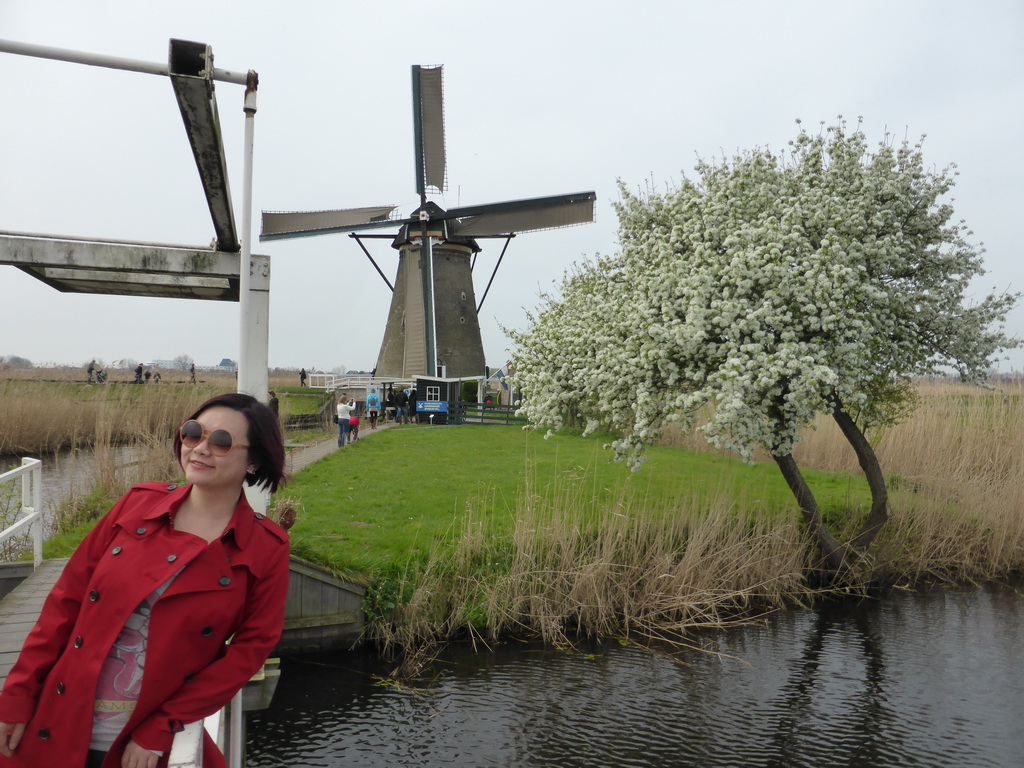 Miaomiao at the bridge leading to the Museum Windmill Nederwaard