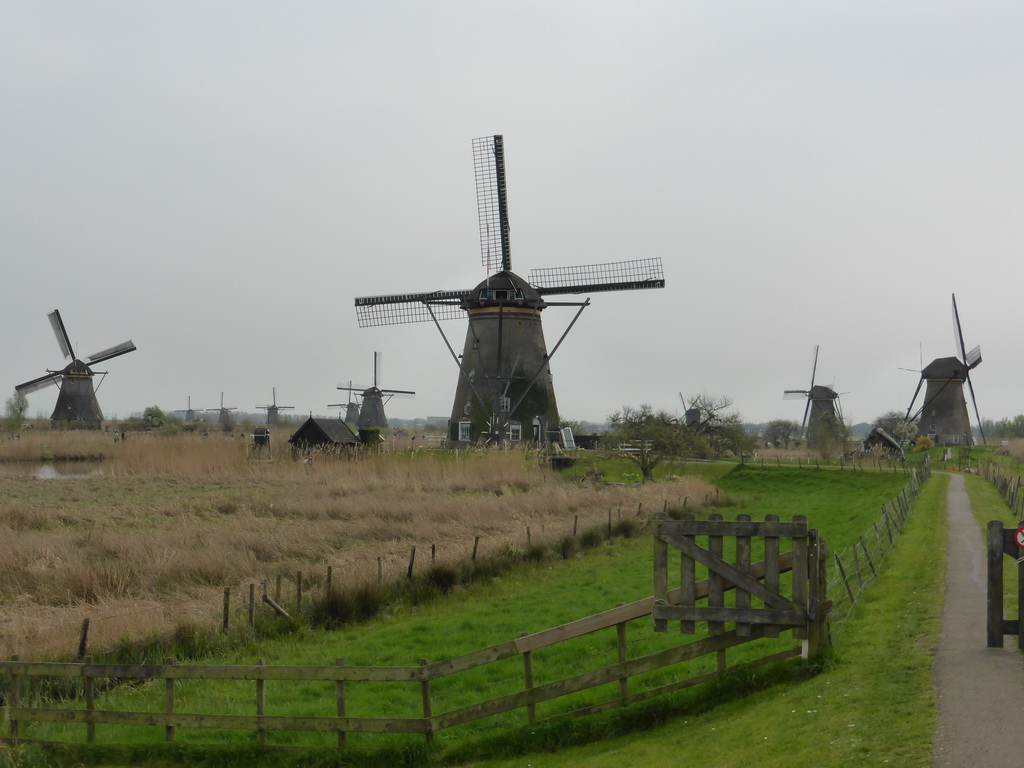 The Nederwaard and Overwaard windmills, viewed from the southeast side of the Museum Windmill Nederwaard