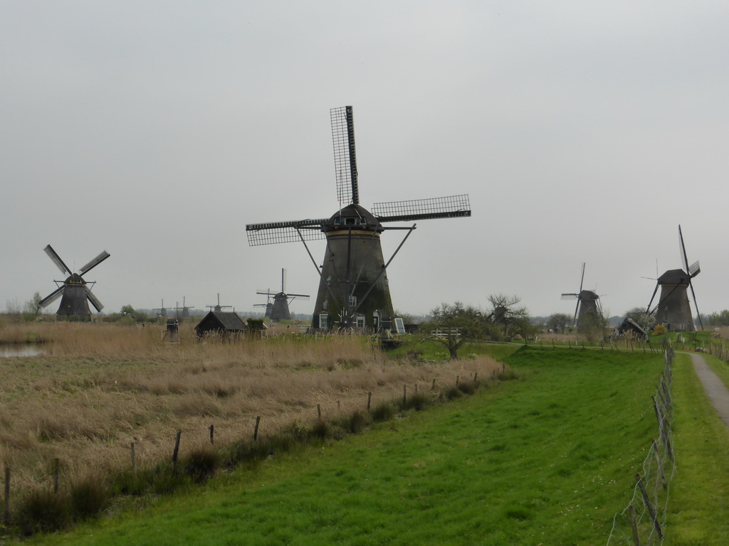 The Nederwaard and Overwaard windmills, viewed from the southeast side of the Museum Windmill Nederwaard