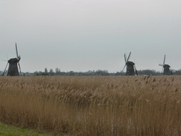 The Nederwaard No. 6, 7 and 8 windmills, viewed from the southeast side of the Museum Windmill Nederwaard