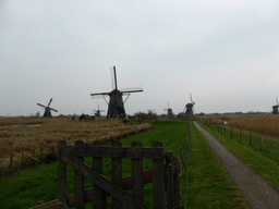 The Nederwaard and Overwaard windmills, viewed from the southeast side of the Museum Windmill Nederwaard