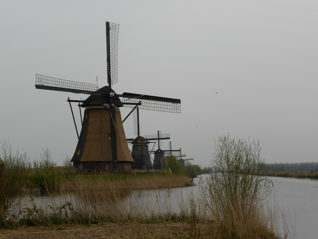 The Overwaard No. 4, 5, 6, 7 and 8 windmills