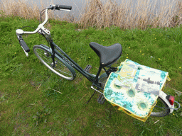 Tim`s rental bike with the Kinderdijk information guide and map