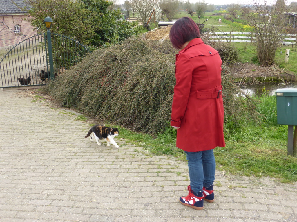 Miaomiao with a cat at the Molenkade street