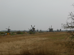 The Nederwaard and Overwaard windmills, viewed from the Molenstraat street