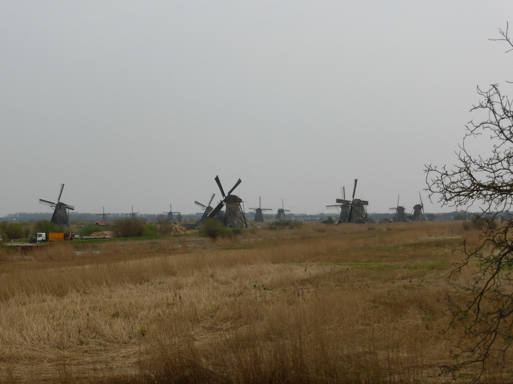 The Nederwaard and Overwaard windmills, viewed from the Molenstraat street