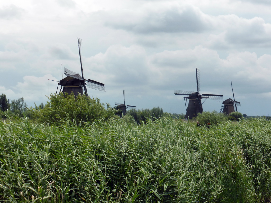 Overwaard windmills, viewed from the bridge leading to the Museum Windmill Nederwaard