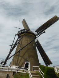 Miaomiao`s father at the east side of the Museum Windmill Nederwaard