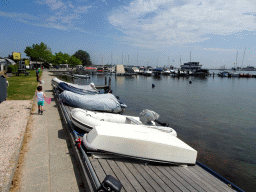 Max and boats at Camping and Villa Park De Paardekreek