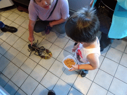 Miaomiao and Max with a lobster in the John`s Zeevishandel store at the Visserijweg street at Colijnsplaat