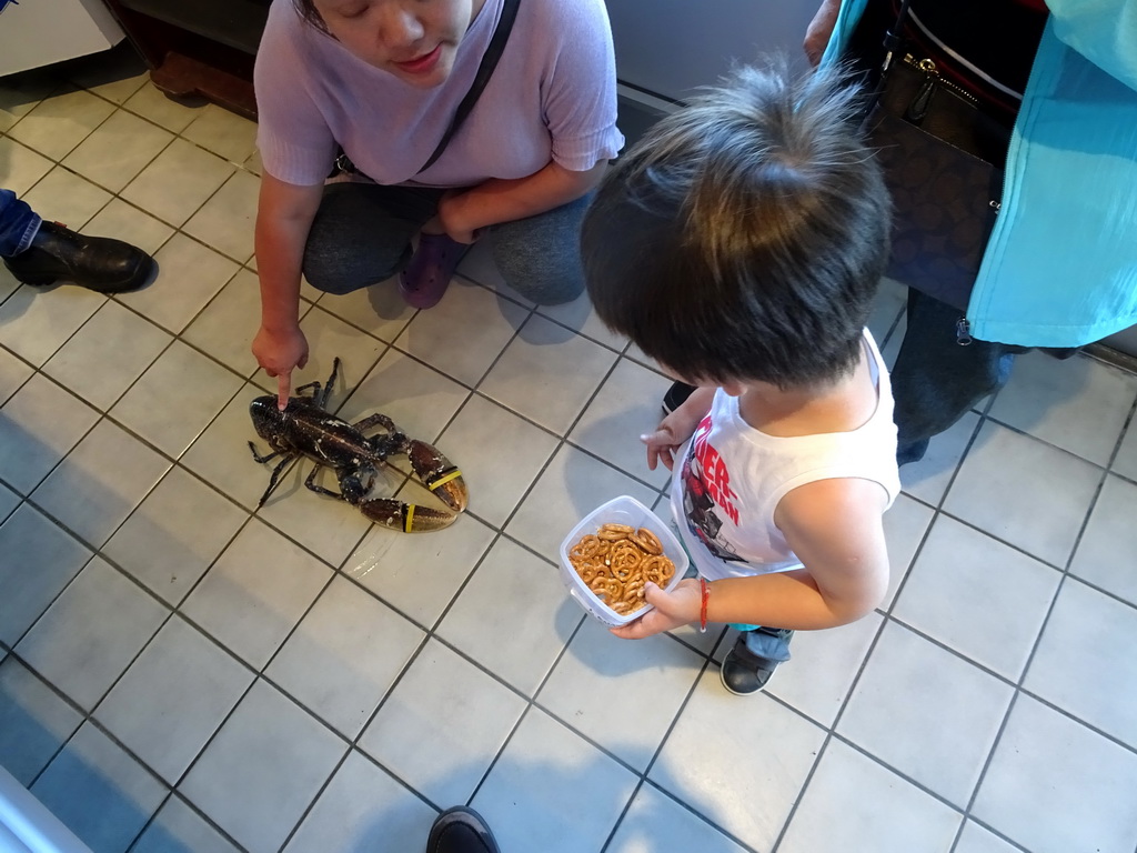 Miaomiao and Max with a lobster in the John`s Zeevishandel store at the Visserijweg street at Colijnsplaat