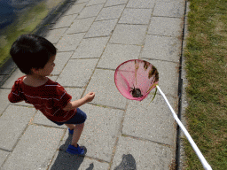 Max catching crabs at Camping and Villa Park De Paardekreek