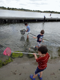 Max and his friends catching crabs at Camping and Villa Park De Paardekreek