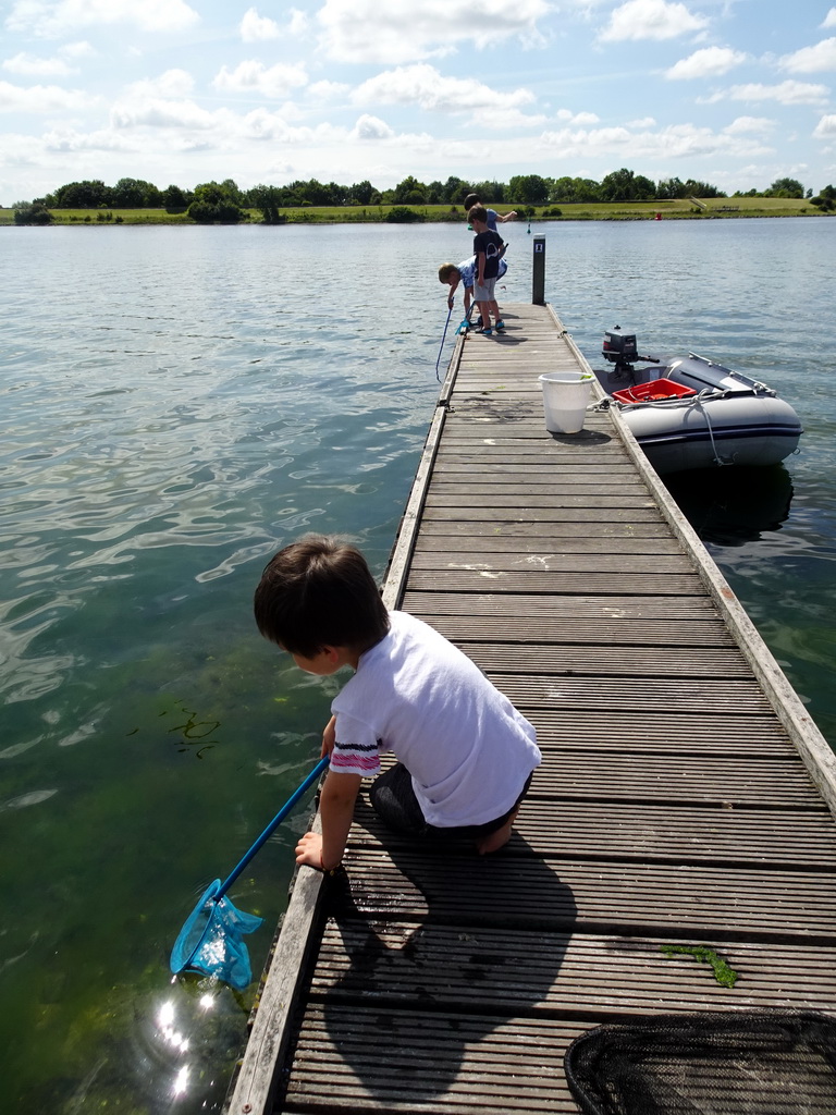 Max and his friends catching crabs on a pier at Camping and Villa Park De Paardekreek