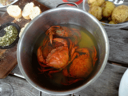 Cooked crabs at Camping and Villa Park De Paardekreek