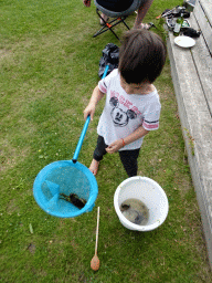 Max with crabs at Camping and Villa Park De Paardekreek