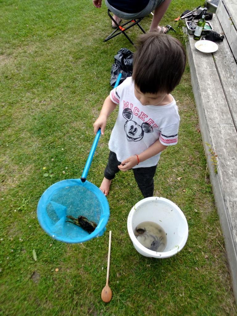 Max with crabs at Camping and Villa Park De Paardekreek