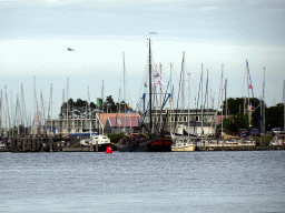 Boats on the Veerse Meer lake and the Jachthaven Wolphaartsdijk harbour, viewed from the Camping and Villa Park De Paardekreek