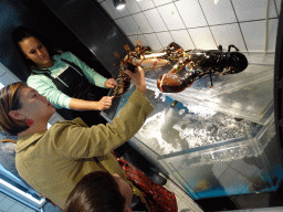 kortgene_2_078 - 314 kb - 1024x768 - Miaomiao and Max with Lobsters at the John`s Zeevishandel store at Colijnsplaat Miaomiao and Max with Lobsters at the John`s Zeevishandel store at Colijnsplaat