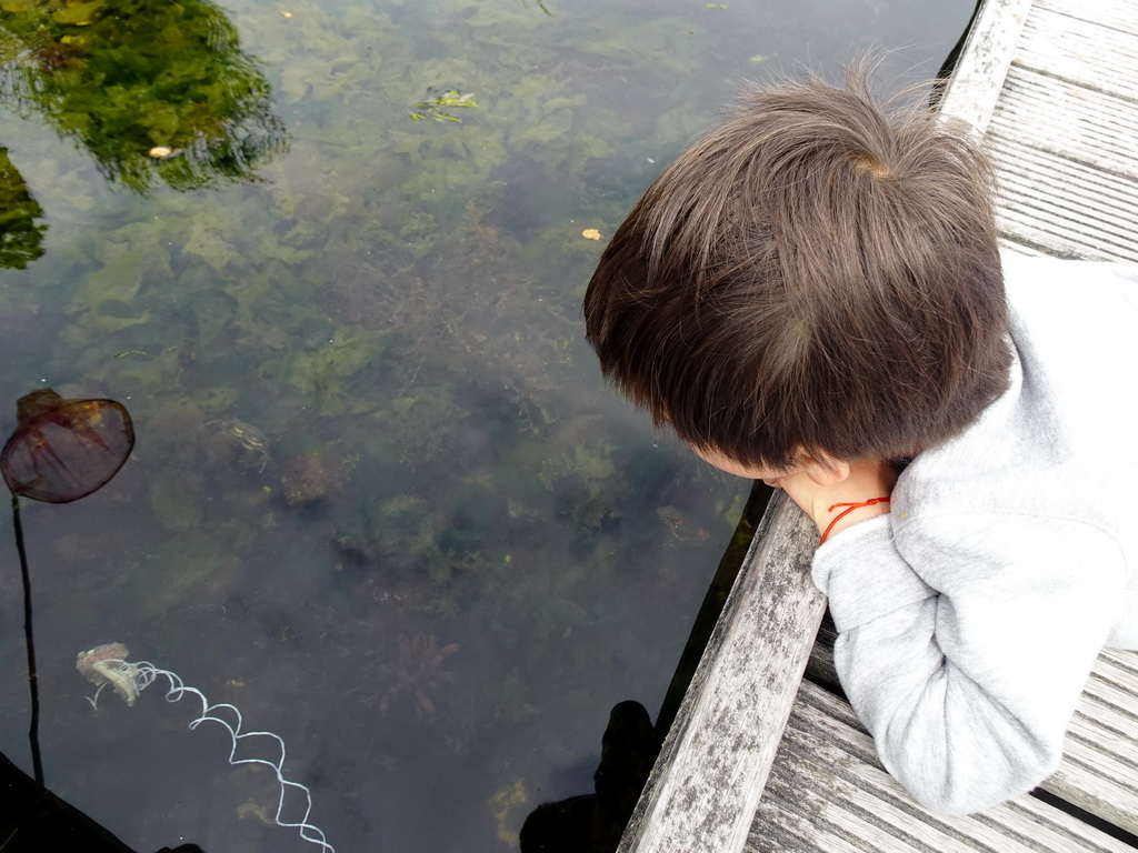 Max catching crabs on a pier at Camping and Villa Park De Paardekreek