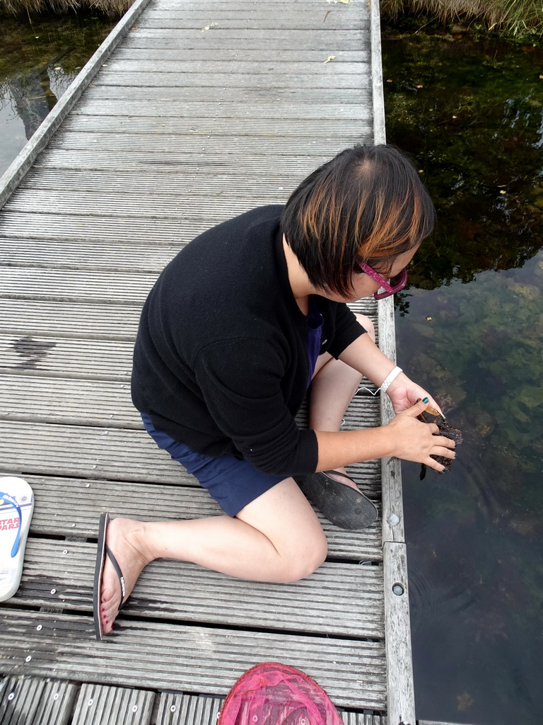 Miaomiao catching crabs on a pier at Camping and Villa Park De Paardekreek