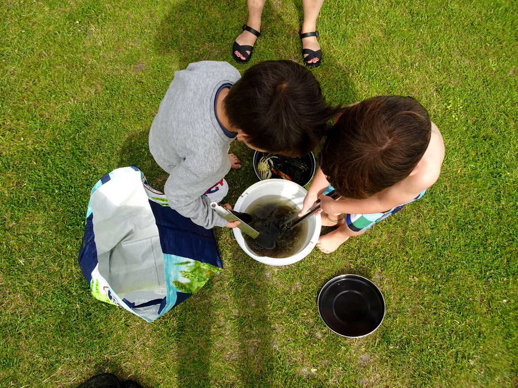 Max and his friend playing with crabs at Camping and Villa Park De Paardekreek