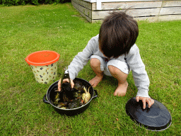 Max playing with crabs at Camping and Villa Park De Paardekreek