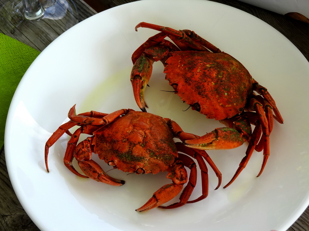 Cooked crabs at Camping and Villa Park De Paardekreek