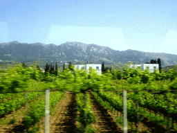 The Hatziemmanouil Winery at Linopotis and Mount Dikeos, viewed from the bus from Kos International Airport Hippocrates to the Blue Lagoon Resort