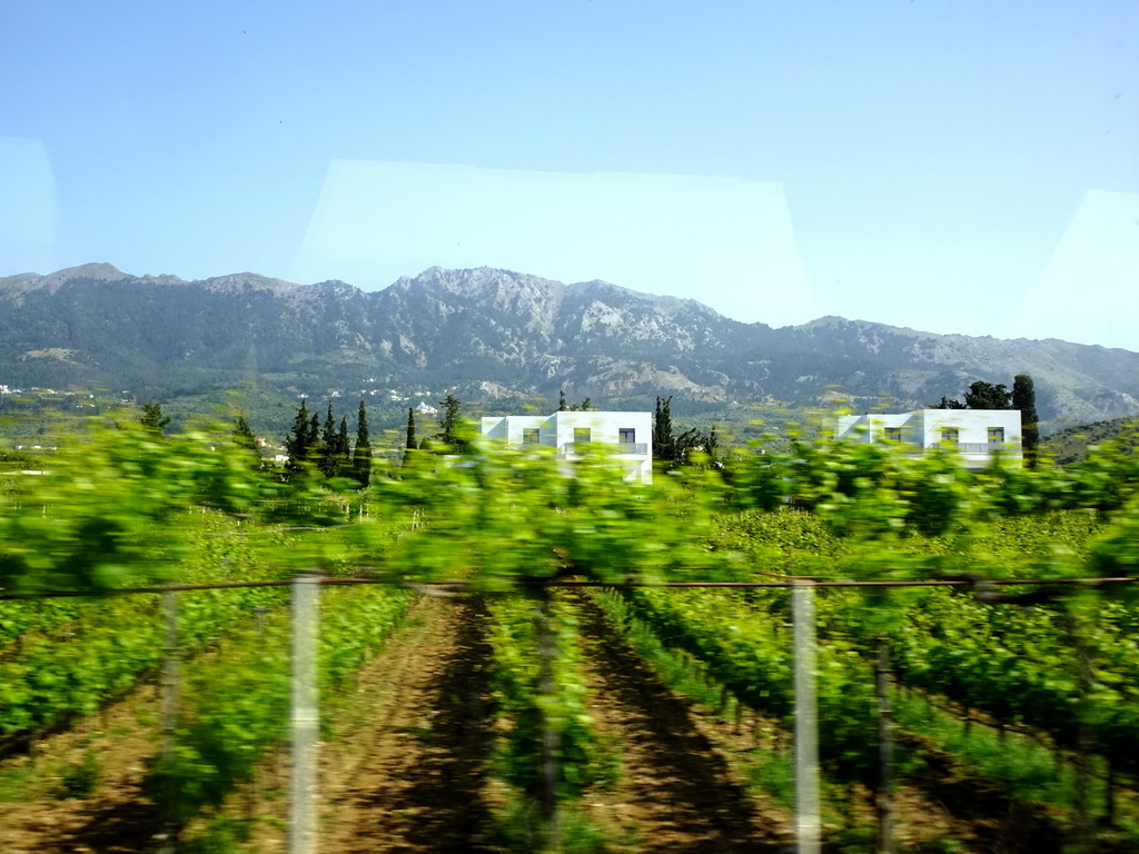 The Hatziemmanouil Winery at Linopotis and Mount Dikeos, viewed from the bus from Kos International Airport Hippocrates to the Blue Lagoon Resort