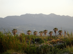 Palm trees and mountains, viewed from the beach of the Blue Lagoon Resort