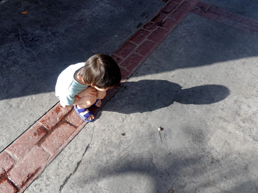 Max looking at a snail at the Blue Lagoon Resort