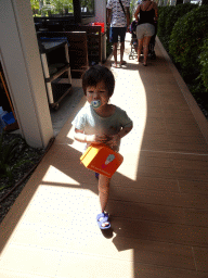 Max at the Blue Lagoon Resort