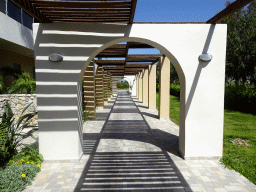 Walkway at building 7000 at the Blue Lagoon Resort