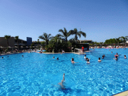 The Main Pool at the Blue Lagoon Resort