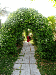 Miaomiao on a walkway at the Sunset Terrace at the Blue Lagoon Resort