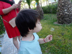 Max with a Dandelion on a walkway at the Sunset Terrace at the Blue Lagoon Resort