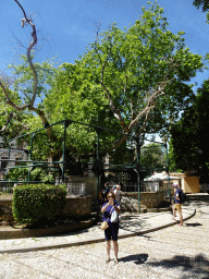 Miaomiao with the Tree of Hippocrates at the Platía Platanou square