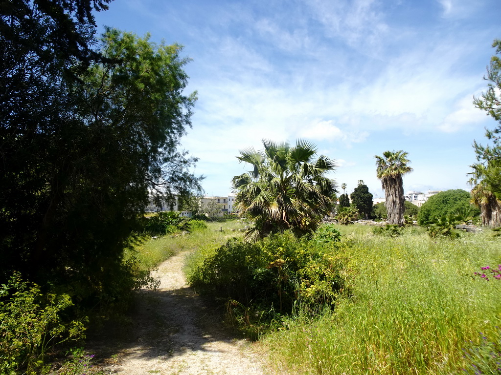 The Archaeological Site of the Harbour Quarter-Agora, viewed from the Mesologiou Street