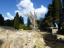 Trees and ruins at the lower level of the Asclepeion