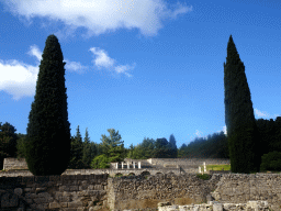 Trees and ruins at the lower level of the Asclepeion