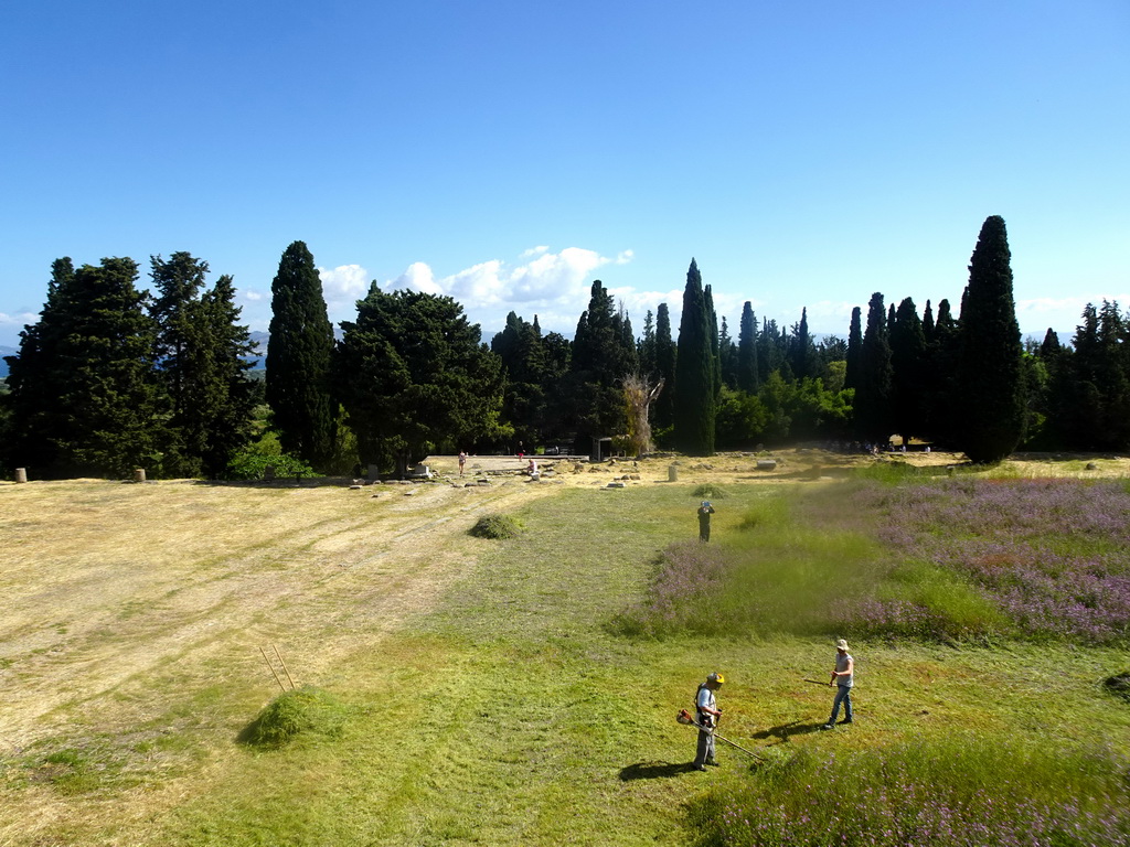 Grass and flowers at the First Terrace of the Asclepeion, viewed from the Second Terrace