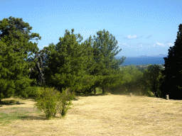 Trees at the First Terrace of the Asclepeion, the Aegean Sea and the Bodrum Peninsula in Turkey, viewed from the Second Terrace