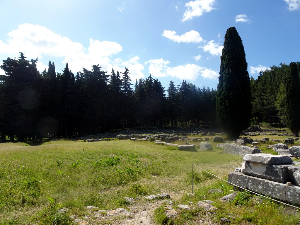 Trees and ruins at the Third Terrace of the Asclepeion