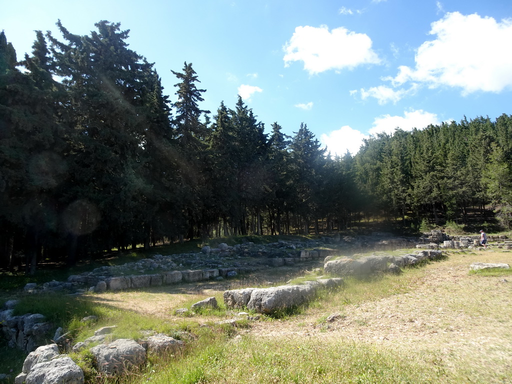 Trees and ruins at the Third Terrace of the Asclepeion