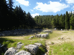 Trees and ruins at the Third Terrace of the Asclepeion