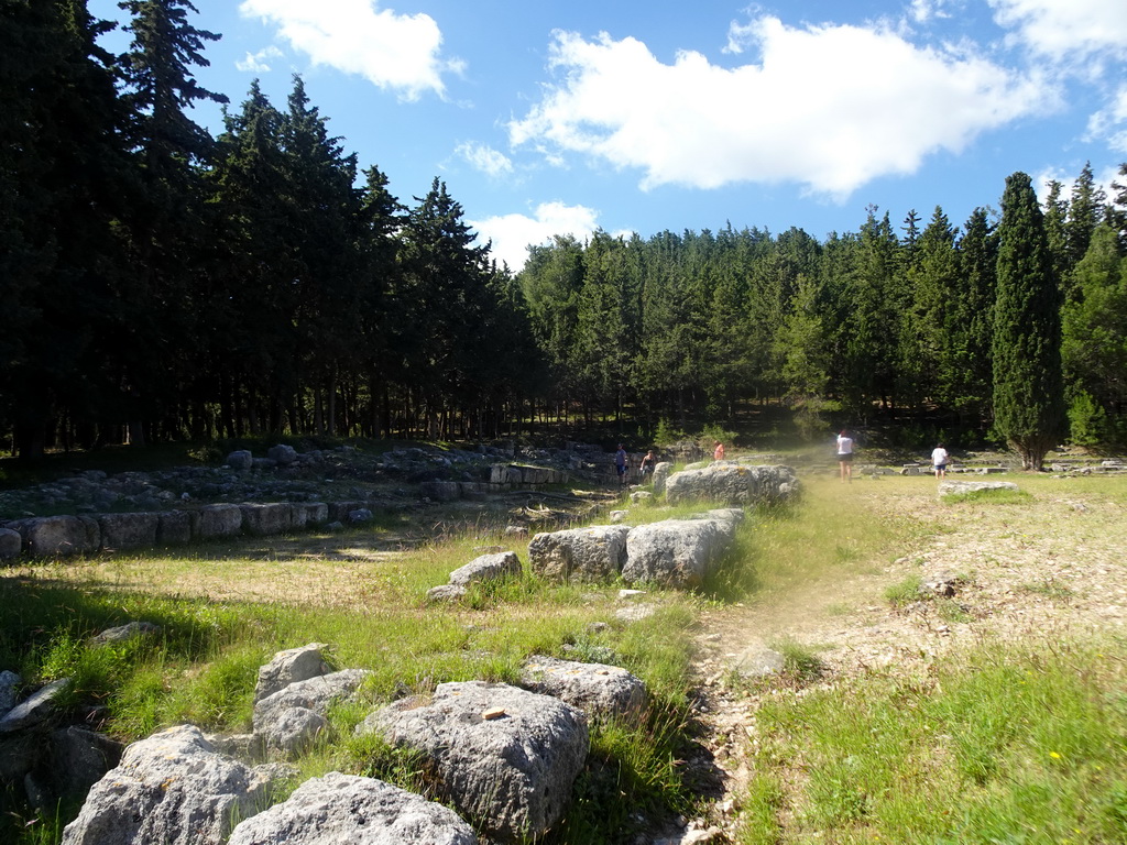 Trees and ruins at the Third Terrace of the Asclepeion