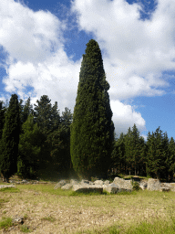 Trees and ruins at the Third Terrace of the Asclepeion